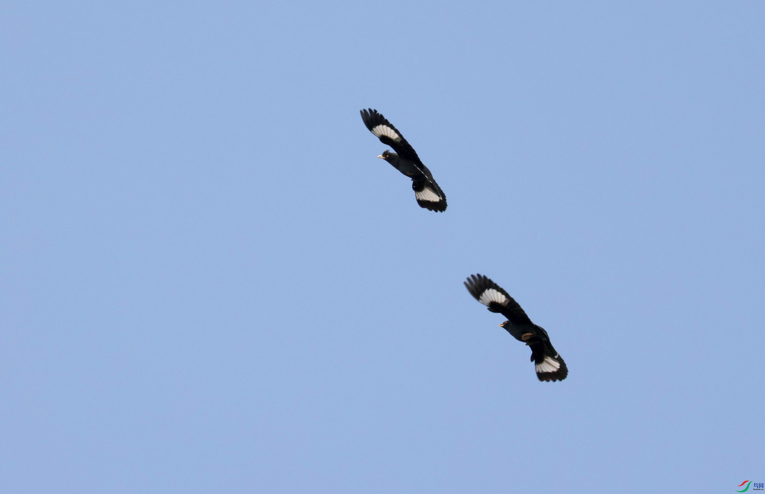 ������С �����ع� 0E5A1352.JPG