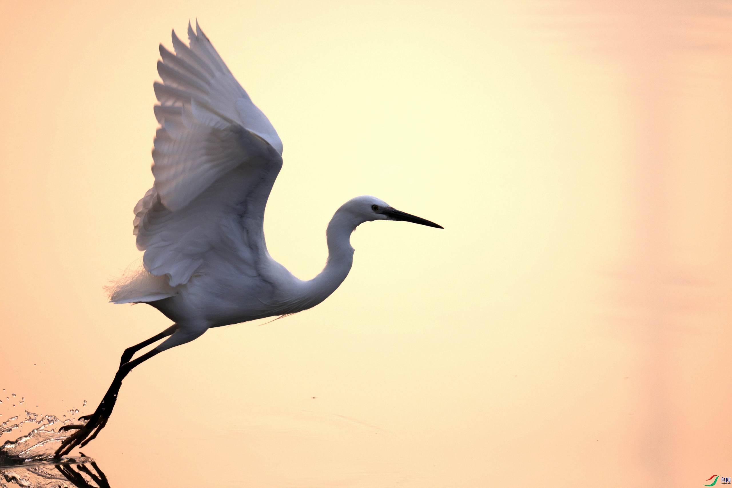 ������С �����ع� 0E5A8705.JPG