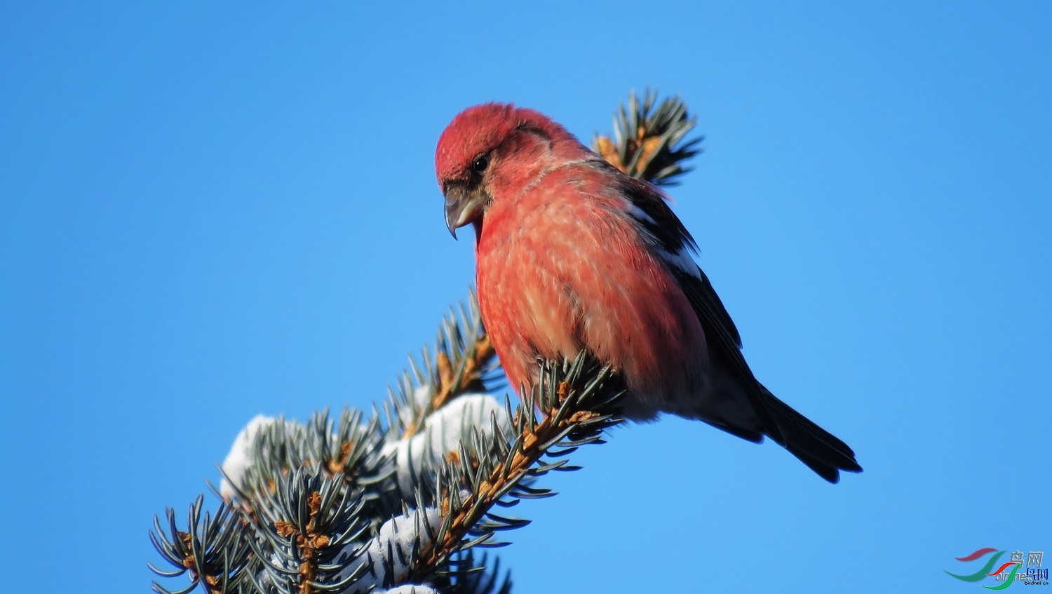 �۸���  ��ʦ���������ɹ����������ױ����и�����.jpg