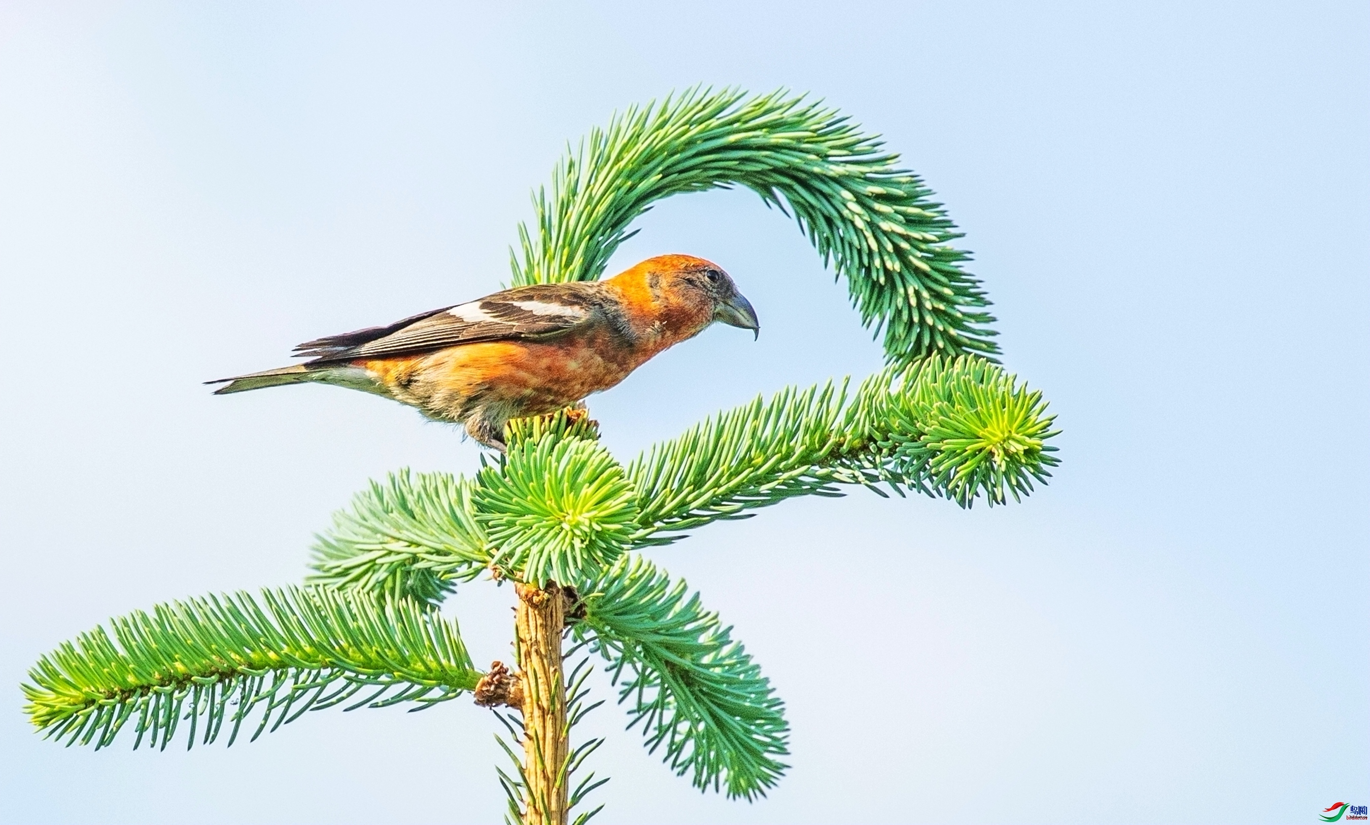 ��ԭЦ�ڳ���  ��ʦ�����ڼ���ʡ������.jpg