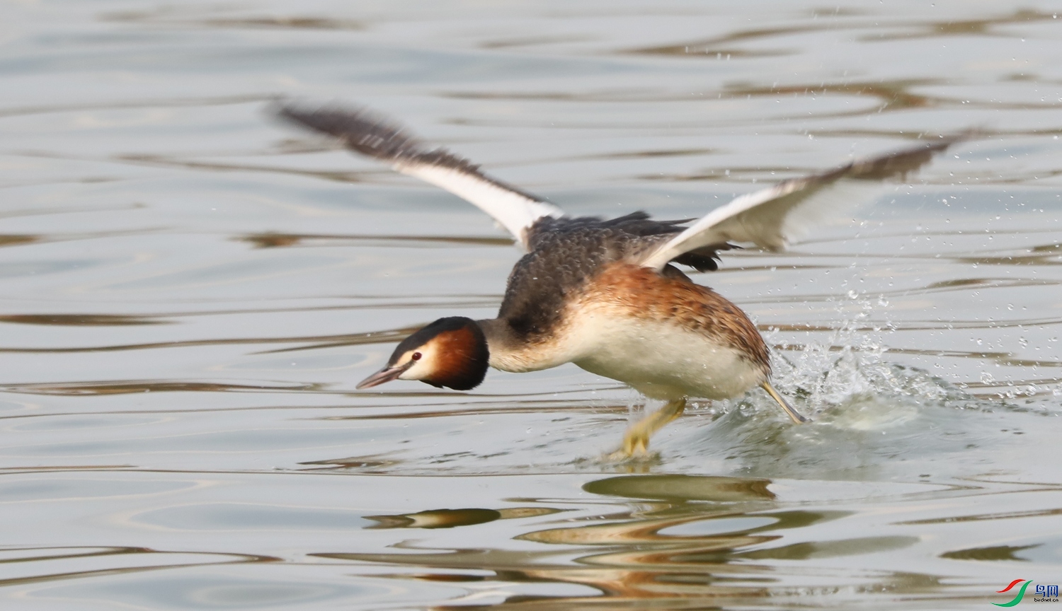 7I9A8043.jpg