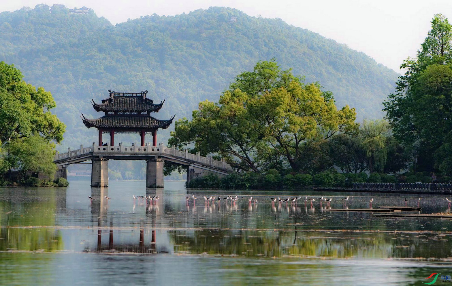 Ư����ˮ�����̨