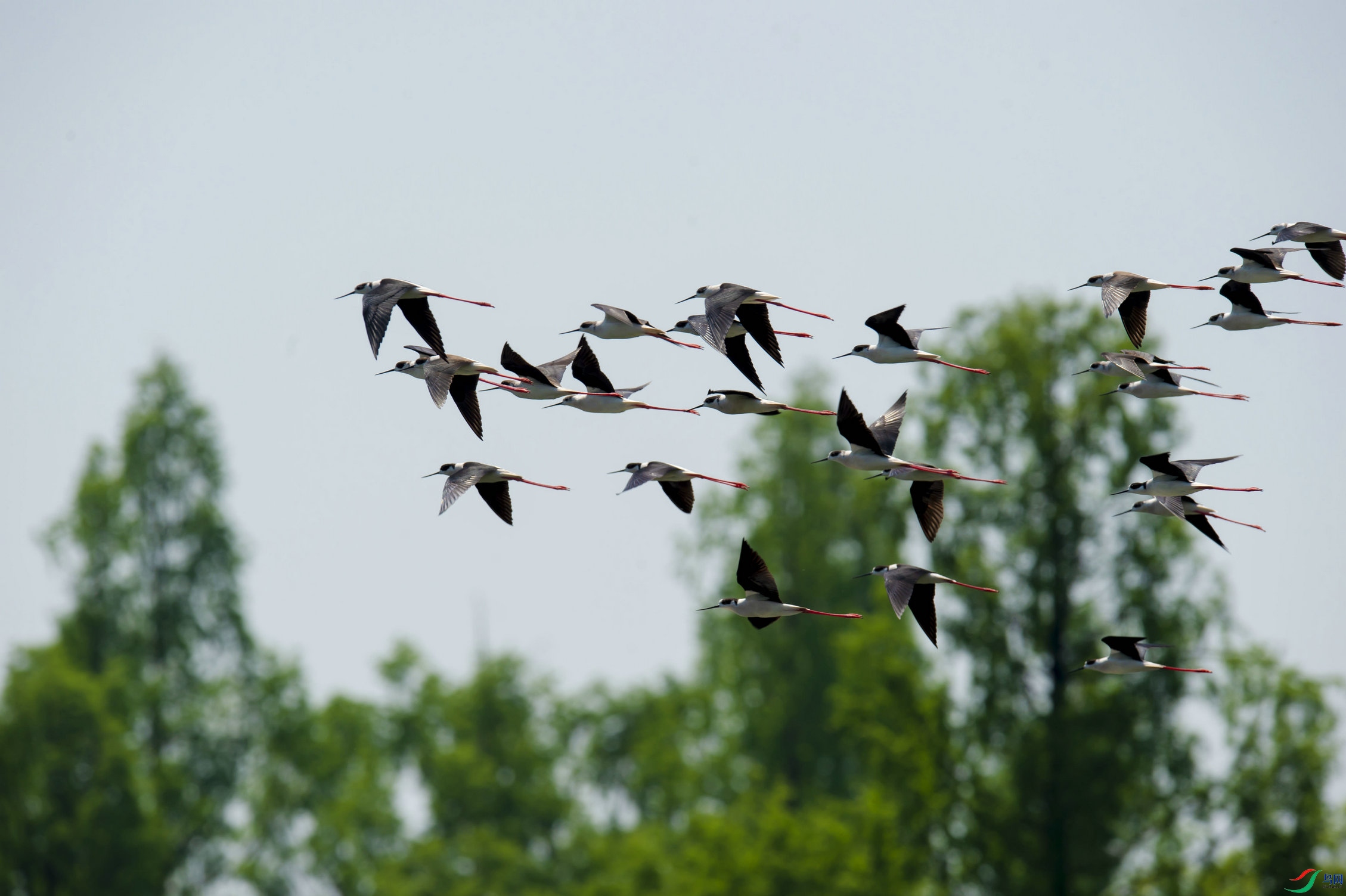 �ӹ�����