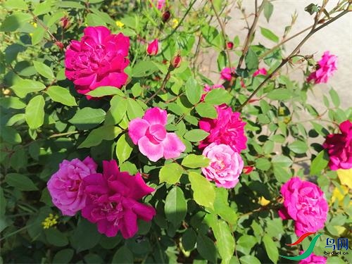 ΢��ͼƬ_20220411163700.jpg