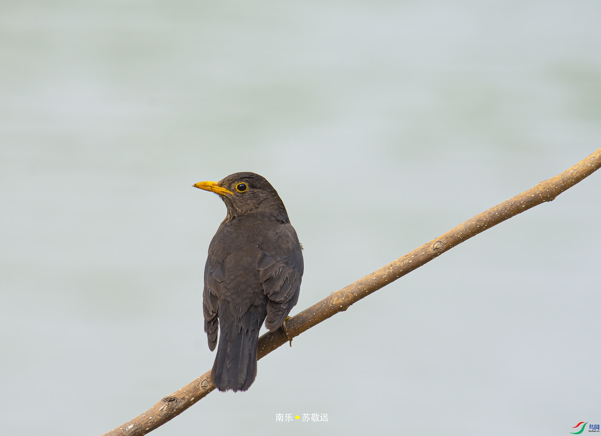 _DSC7218С.jpg