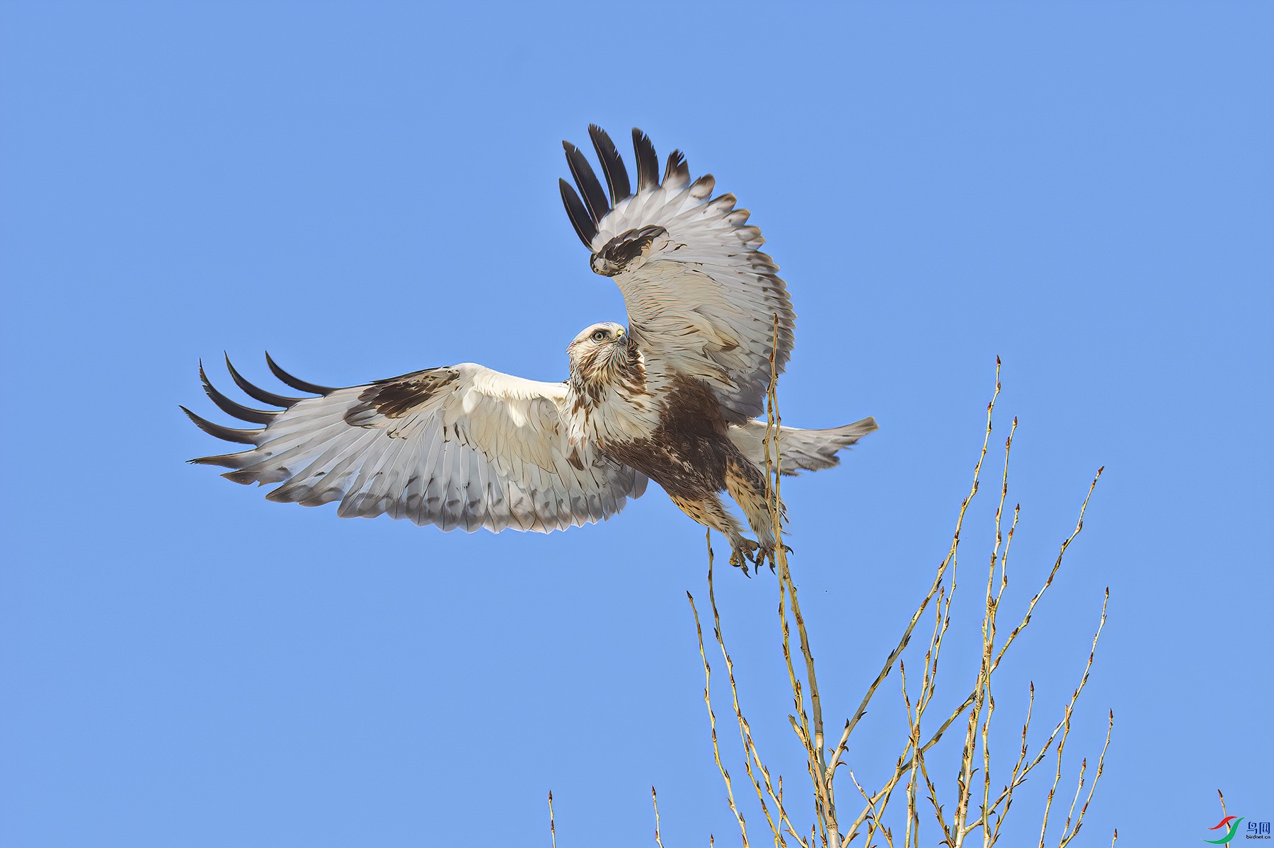 L03_9850-1.jpg
