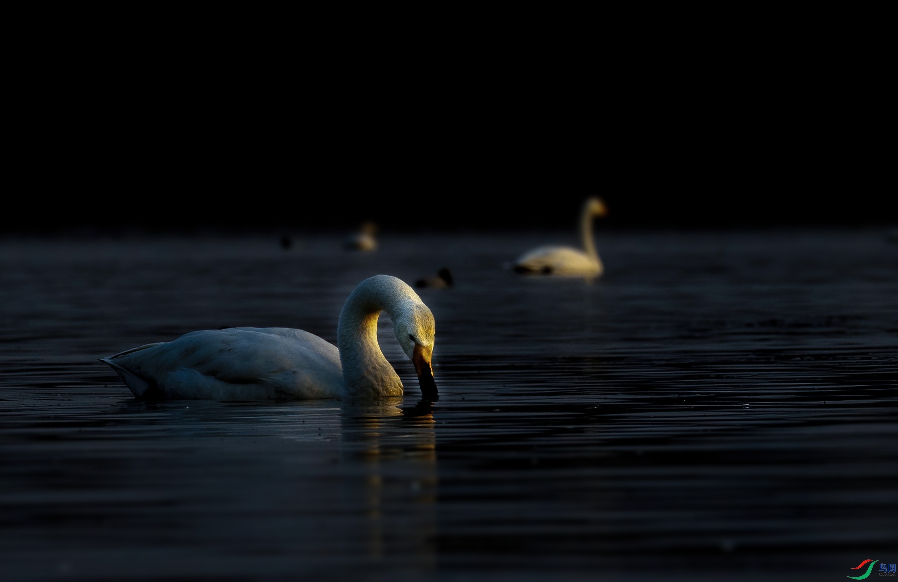 DS1_7026.jpg