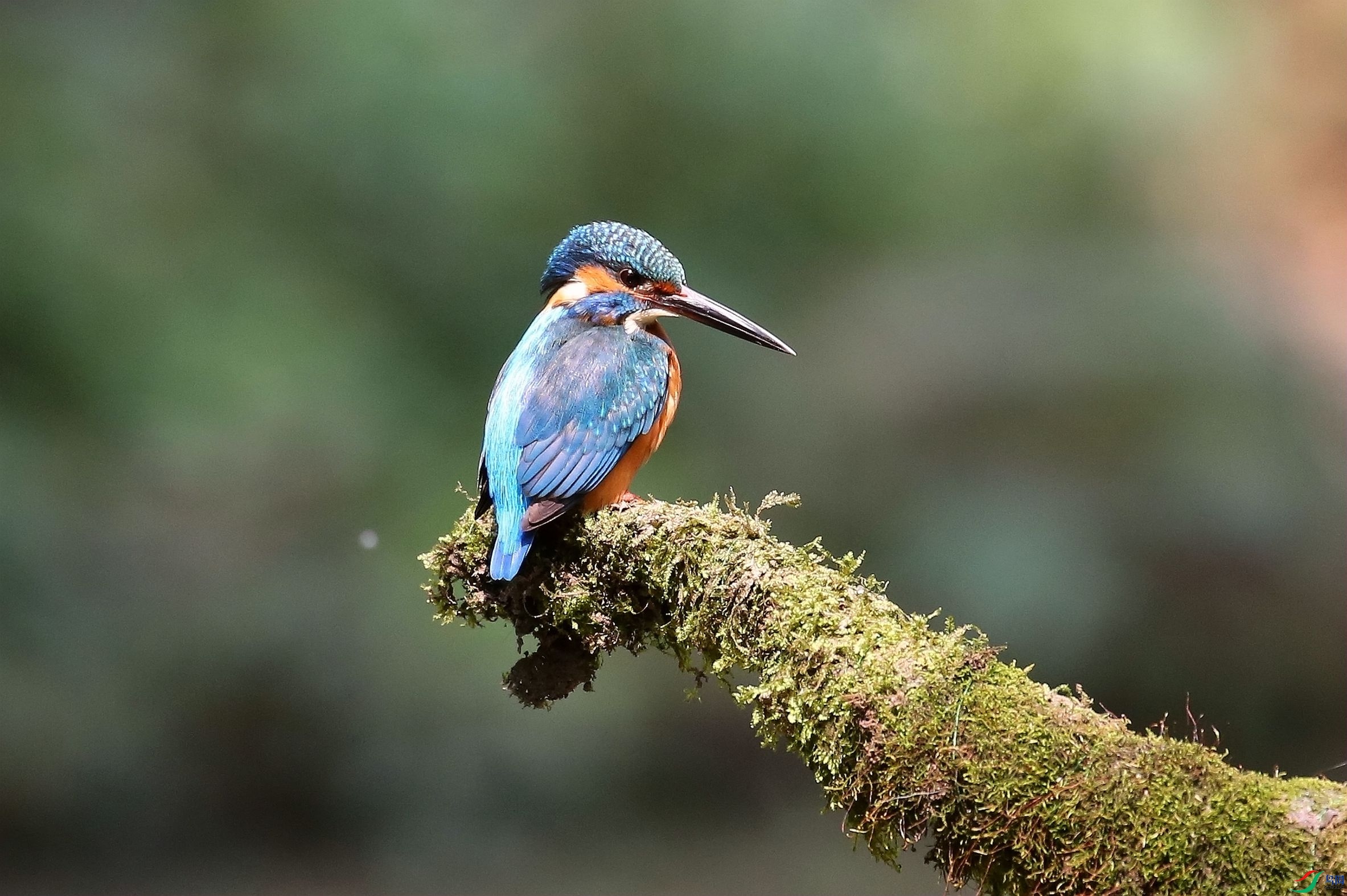 ����ʱ��ZR6A6205_����.jpg