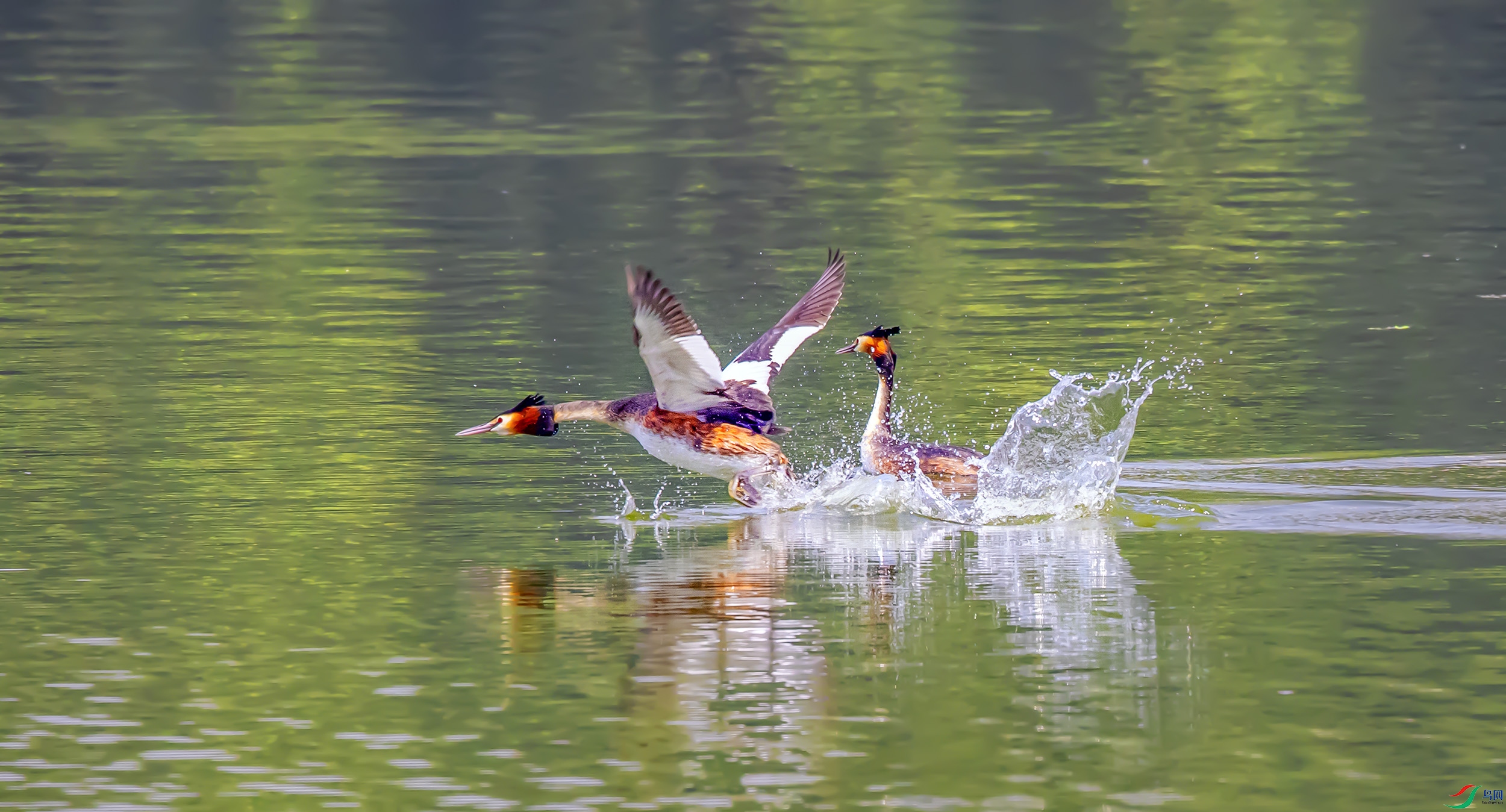 _07A0227----11  .jpg