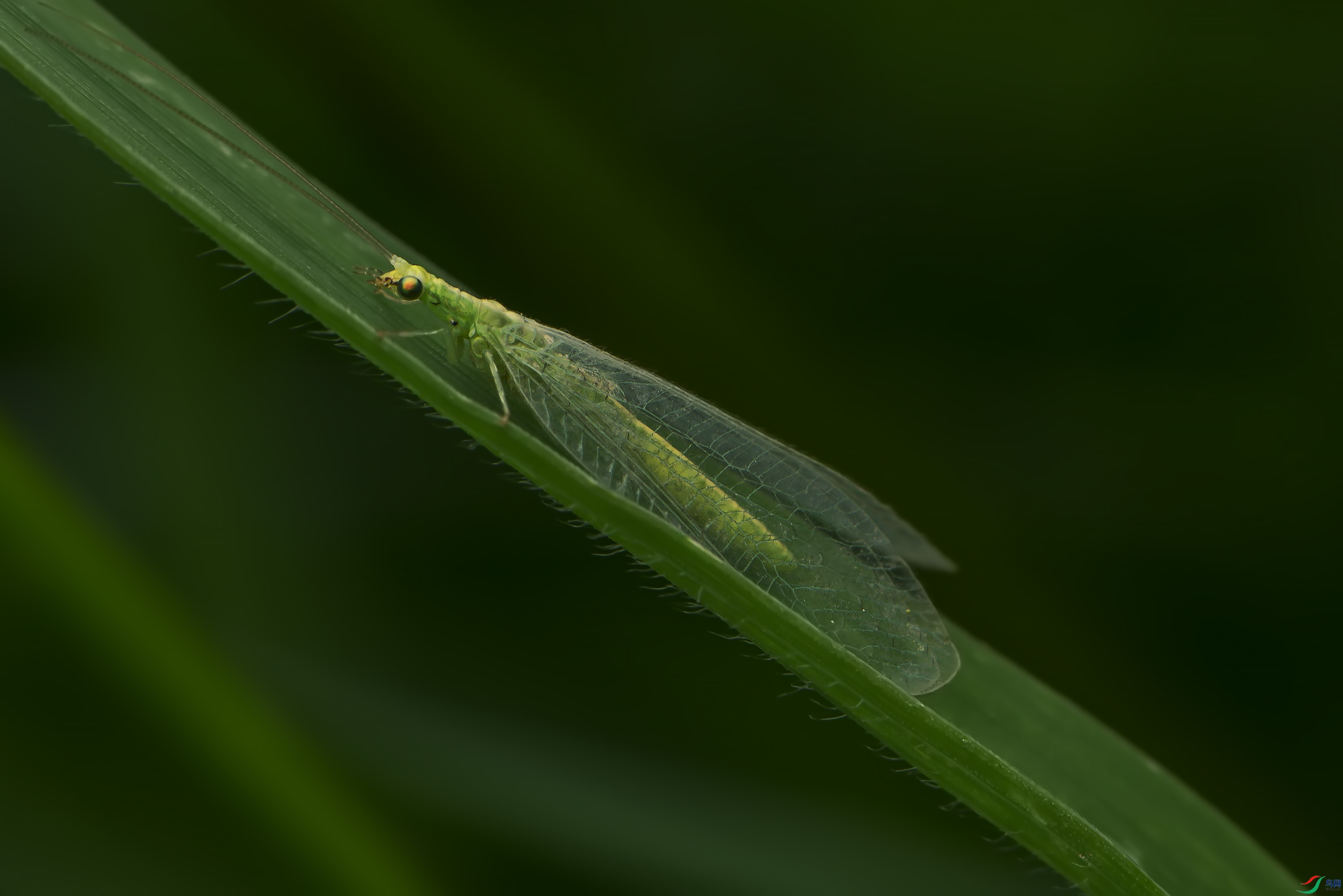 DSC_6909.jpg
