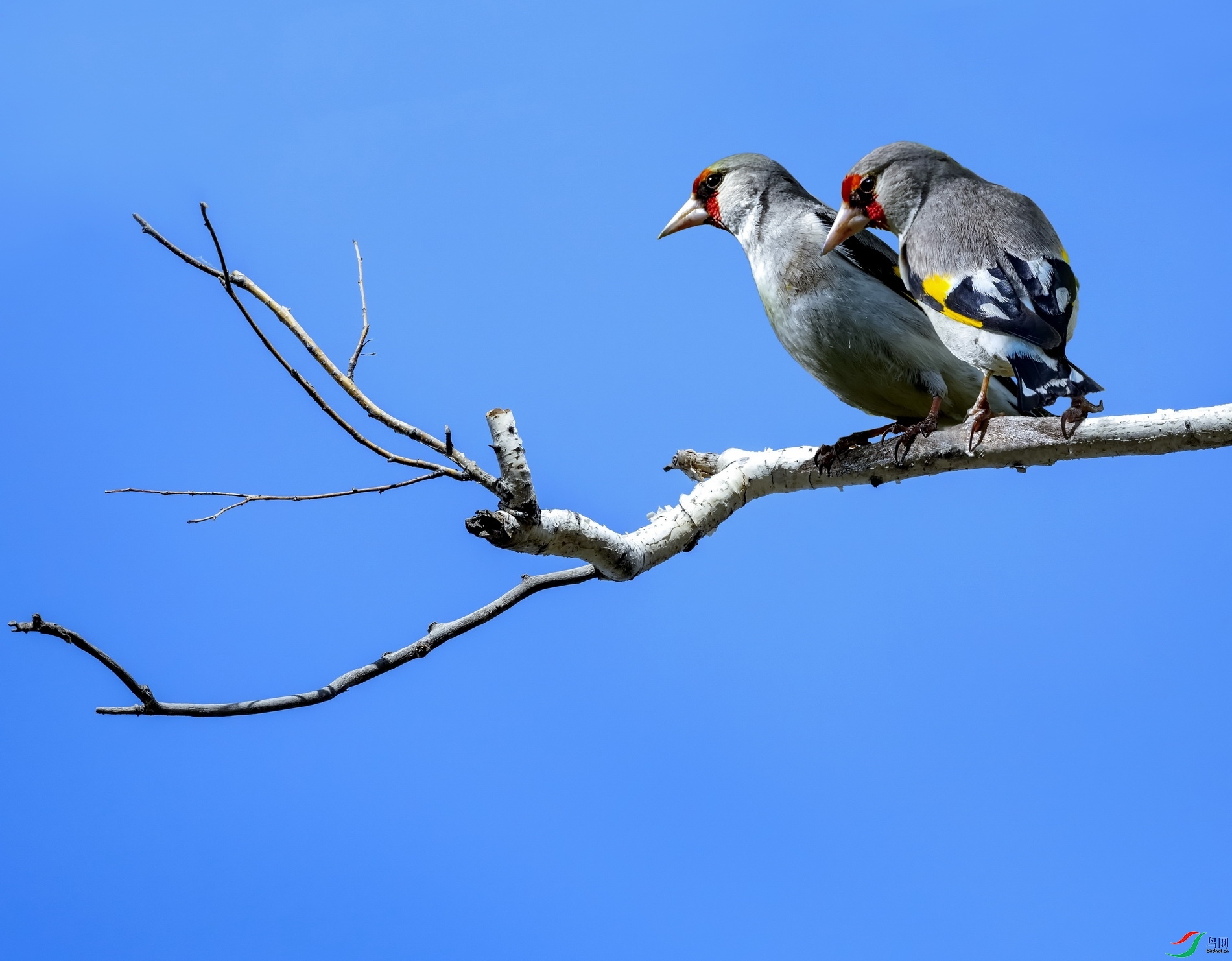 ��Ӱ��  ��ʦ��������.��.ά.��.��.���������ǵ���������.jpg