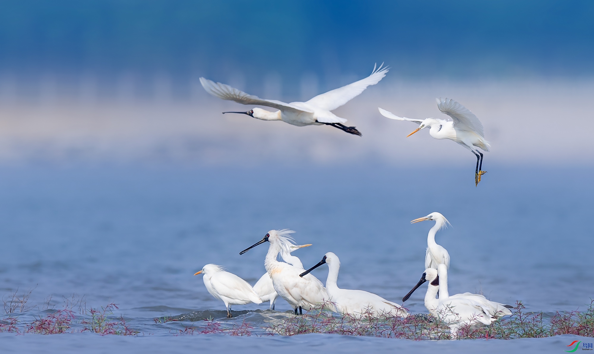 �������������