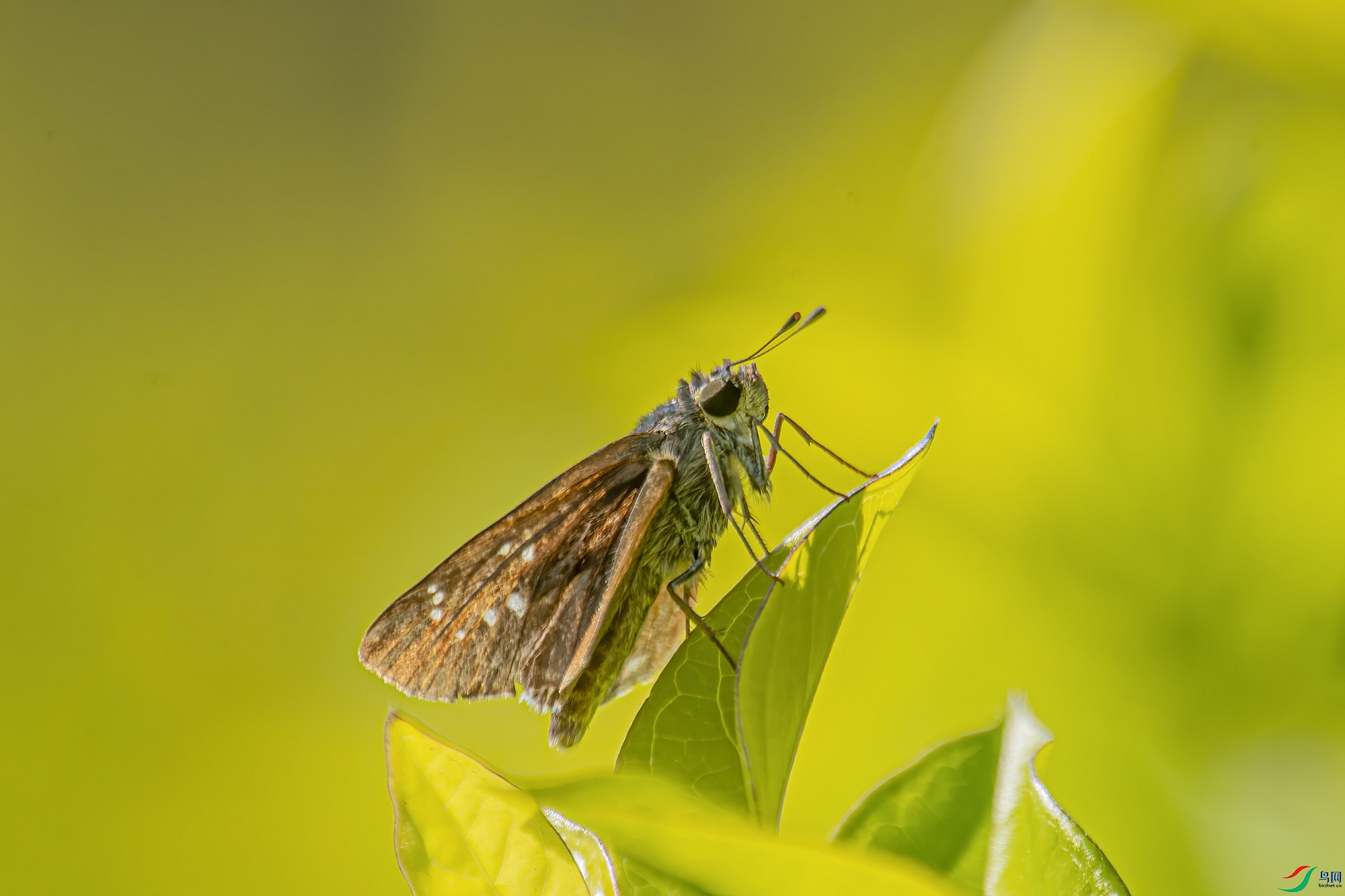 DSC_6484_����.jpg