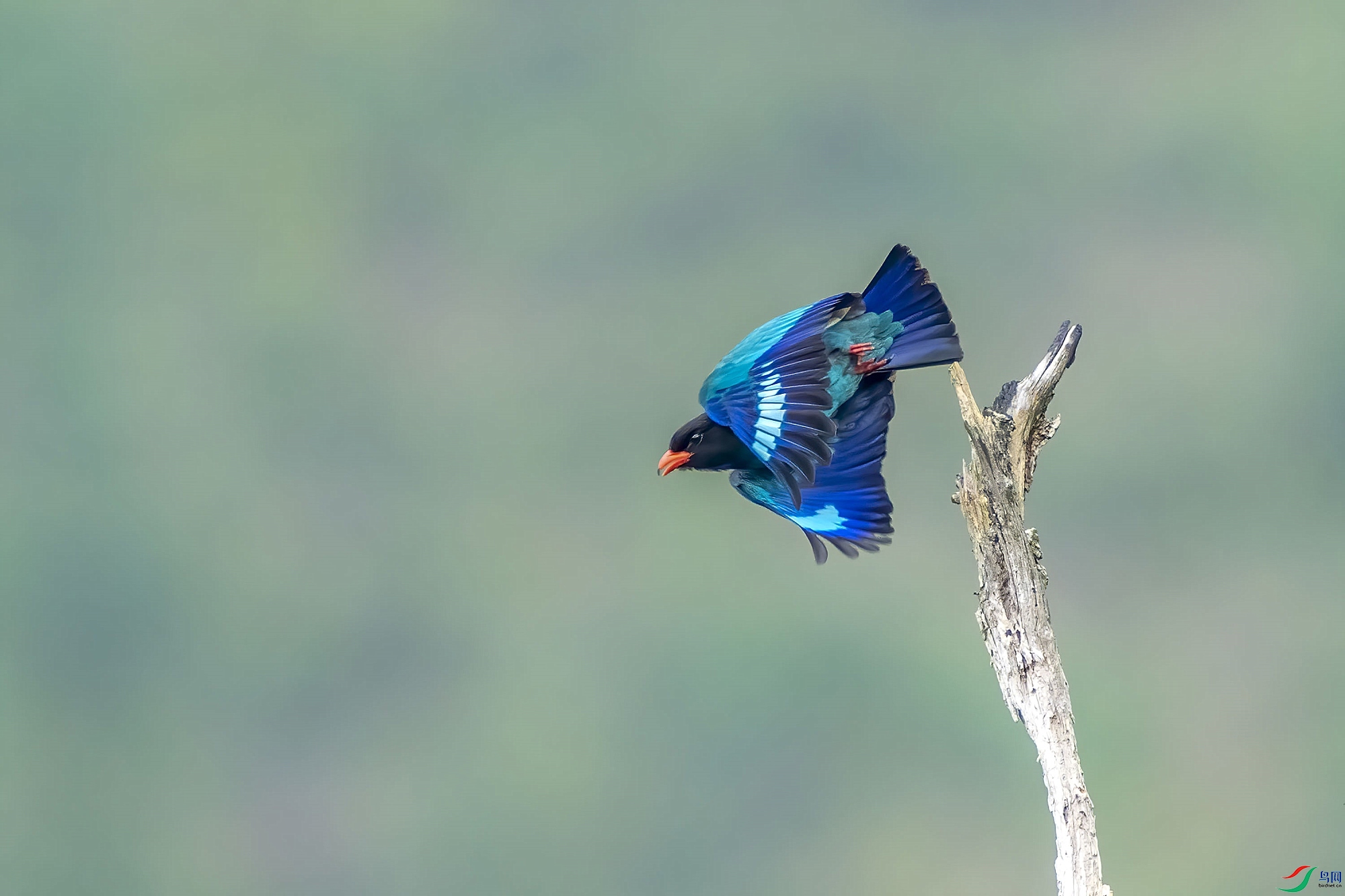 DSC_5455_����.jpg