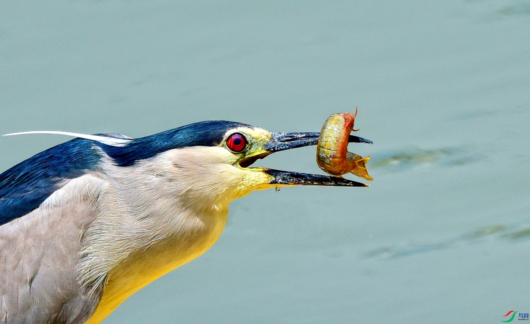 DSC_7117_conew3.jpg