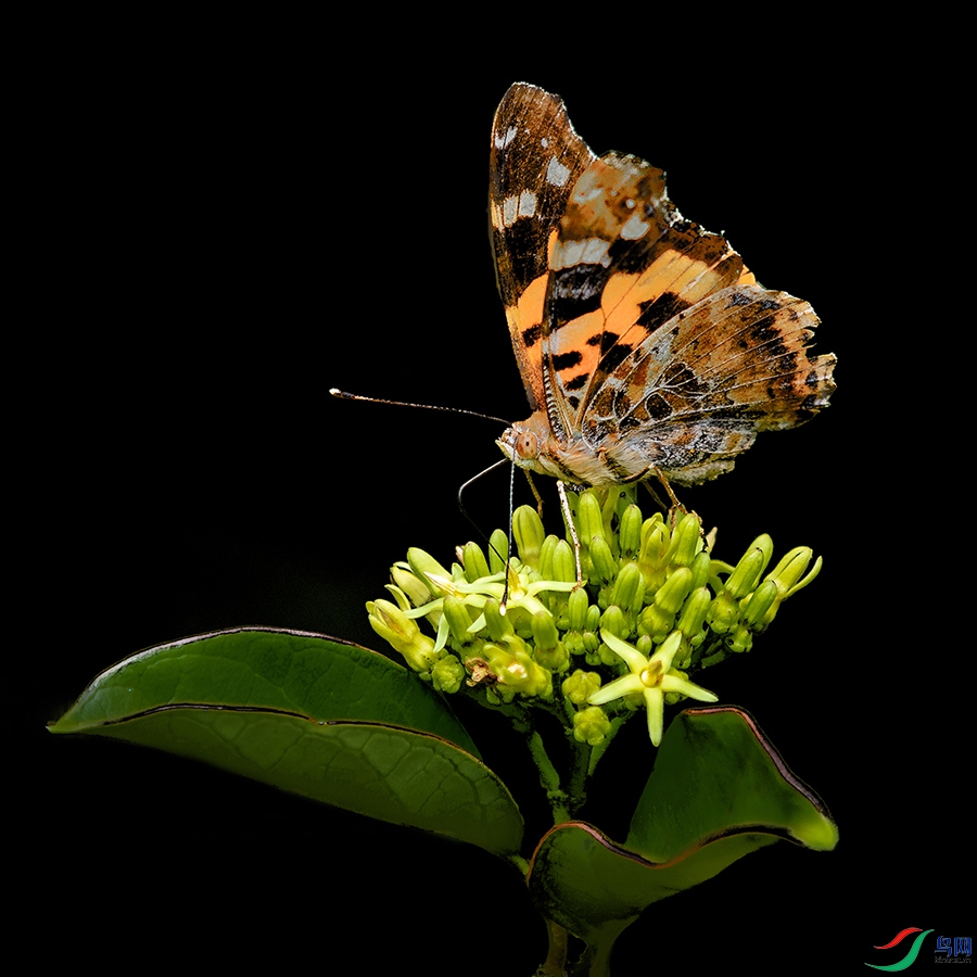 131A0174����.jpg