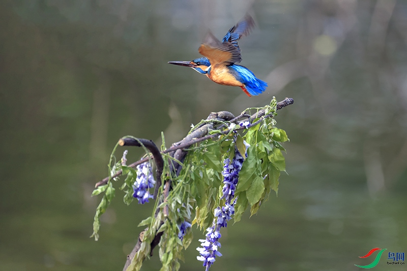 A28A9528-.jpg