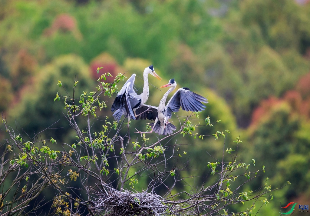 _R4R7340 - ����.jpg