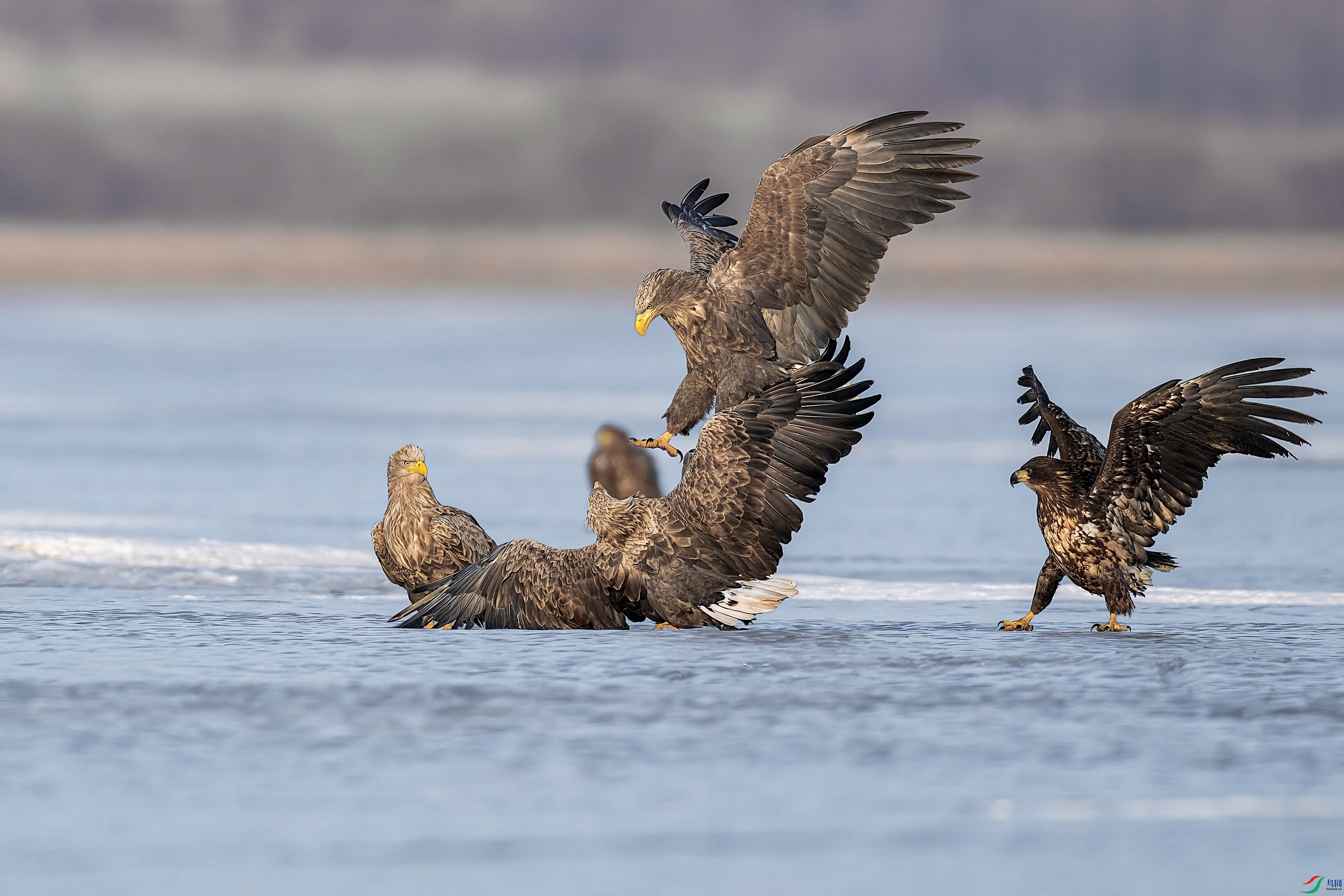 ADSC02885.jpg