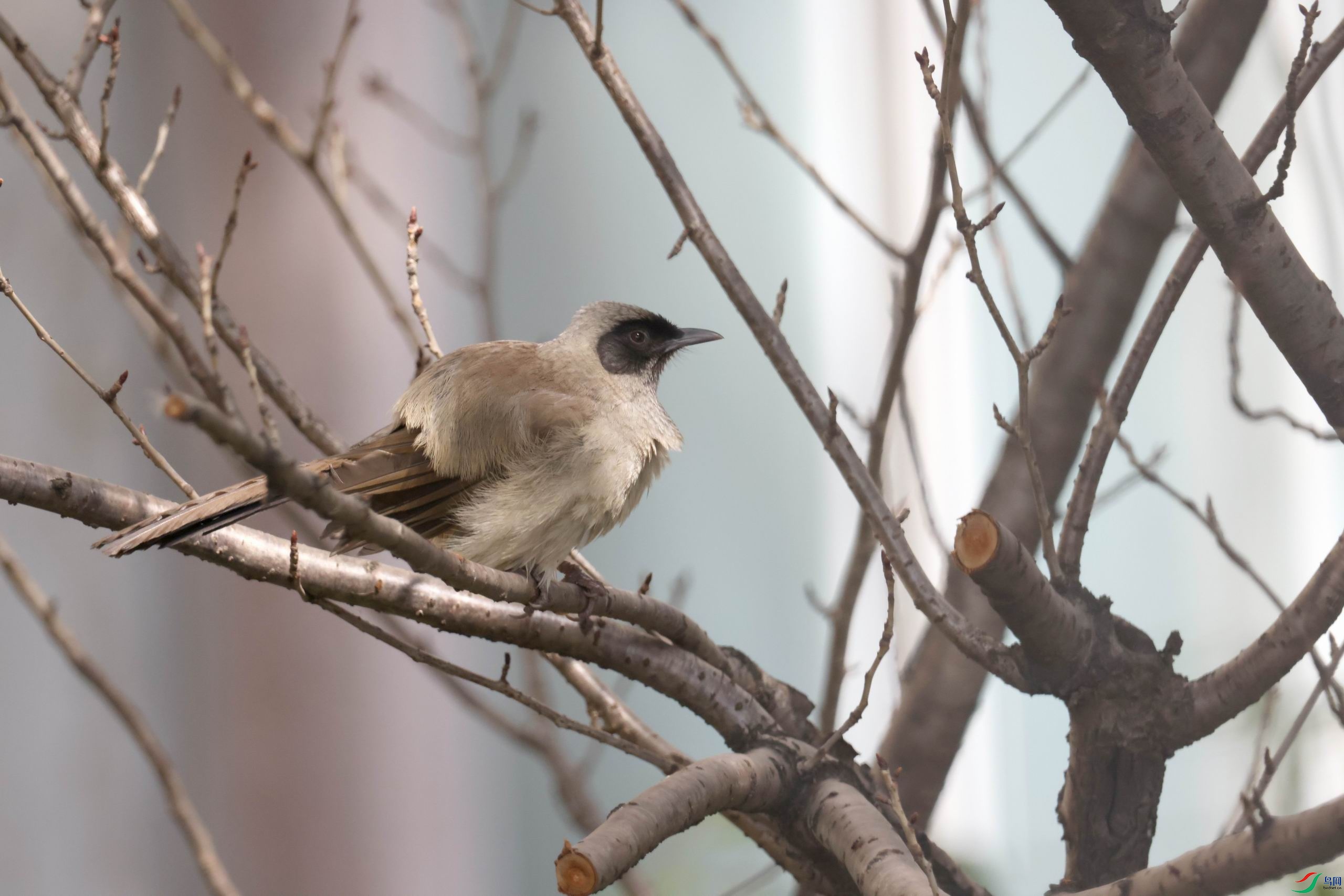 ������С �����ع� 0E5A0924.JPG