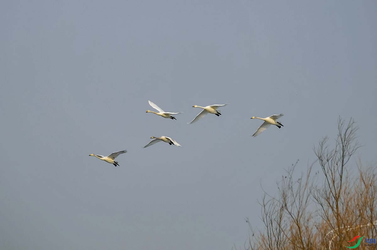 DSC_7351-.jpg-.jpg