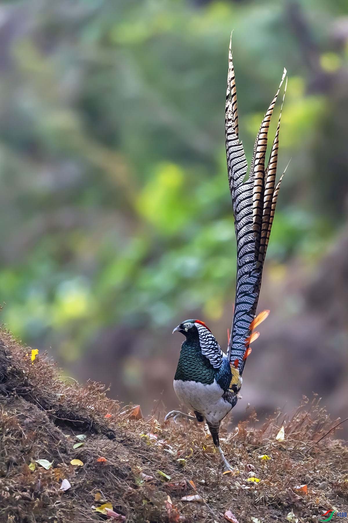 _DSC5152.psd-.jpg1- - ����.jpg