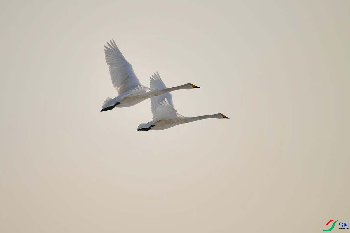 DSC_6888- - ���� - ����.jpg