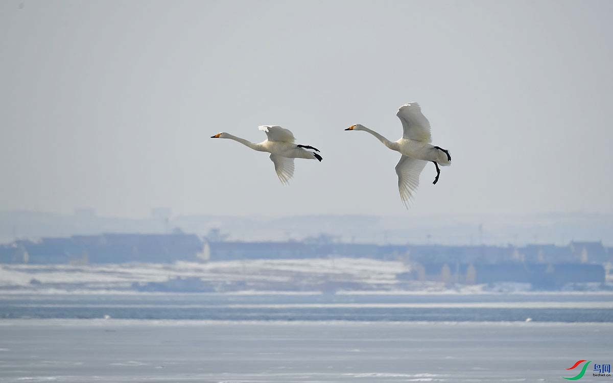 DSC_7384-.jpg