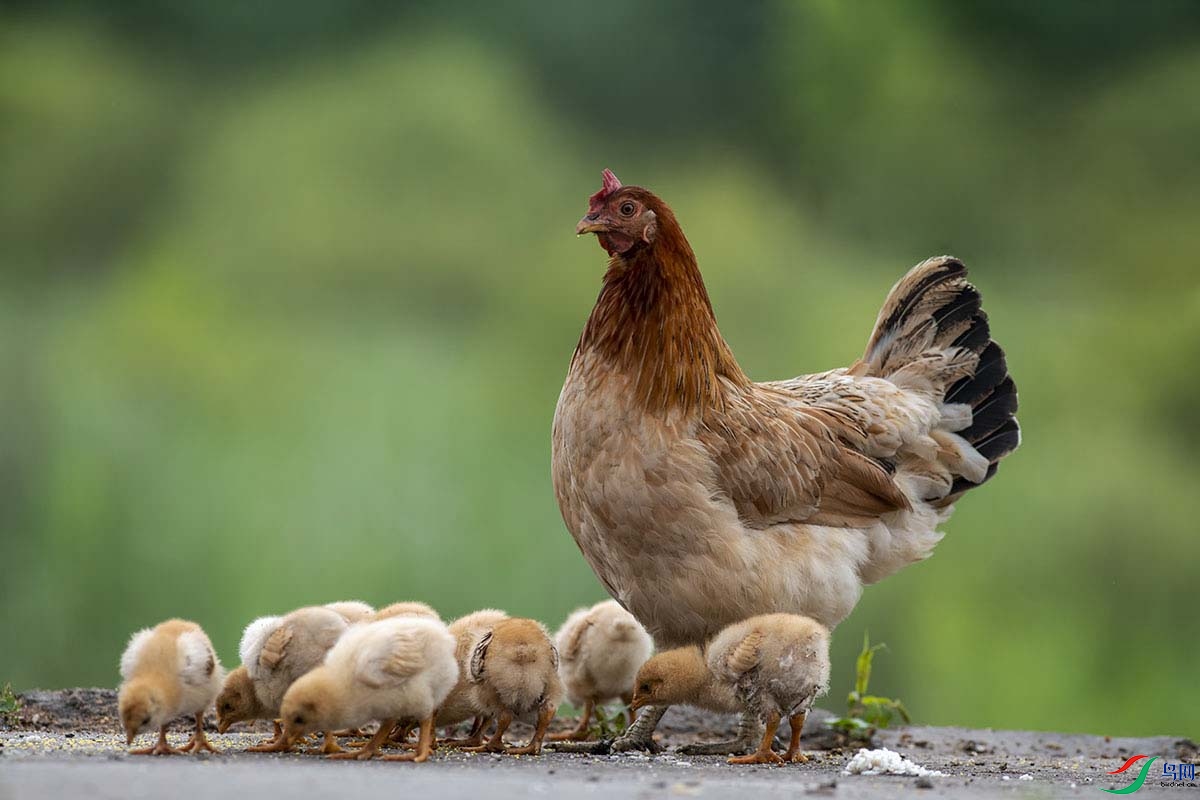 _DSC0712.jpg- - ����.jpg