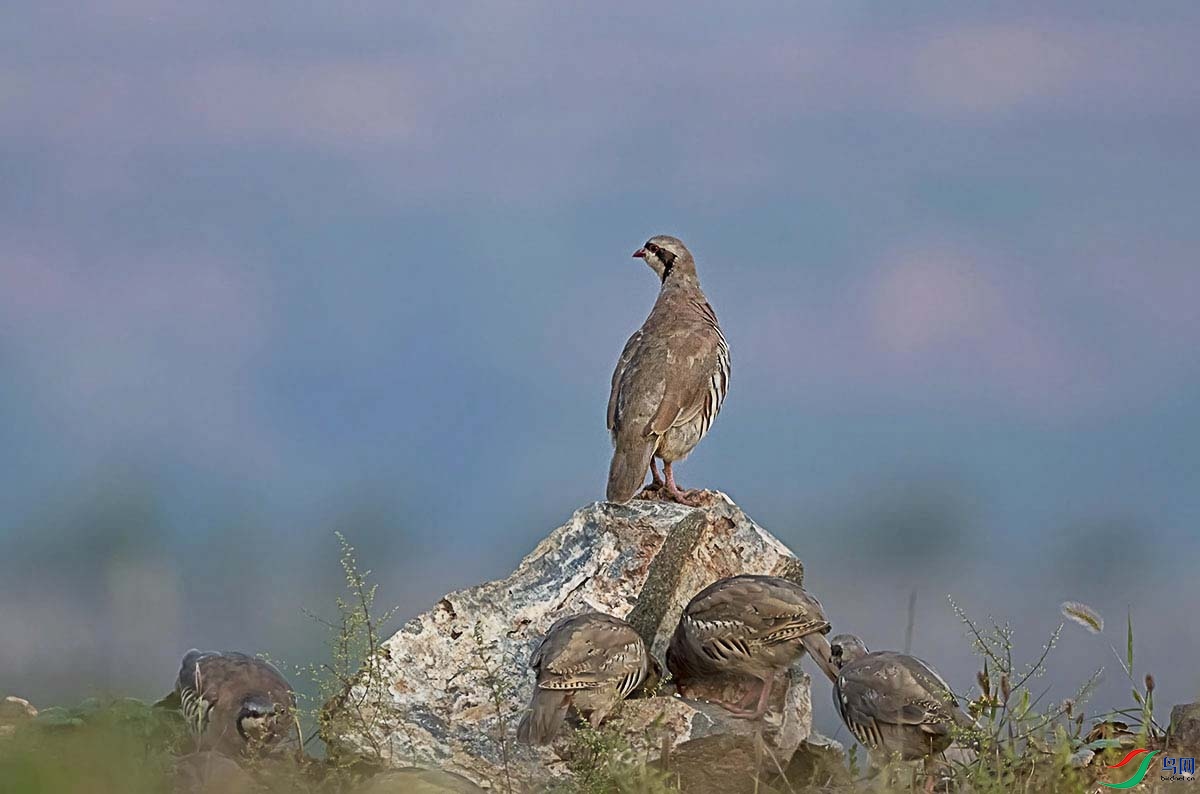 _DSC4054.jpg- - ���� - ����.jpg