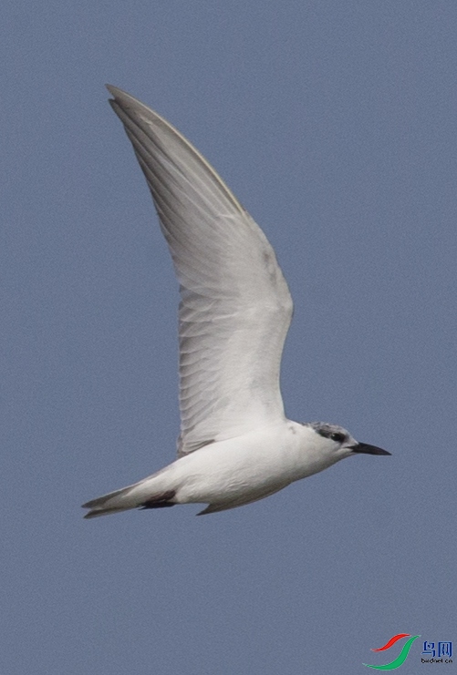 CS3U0960.jpg
