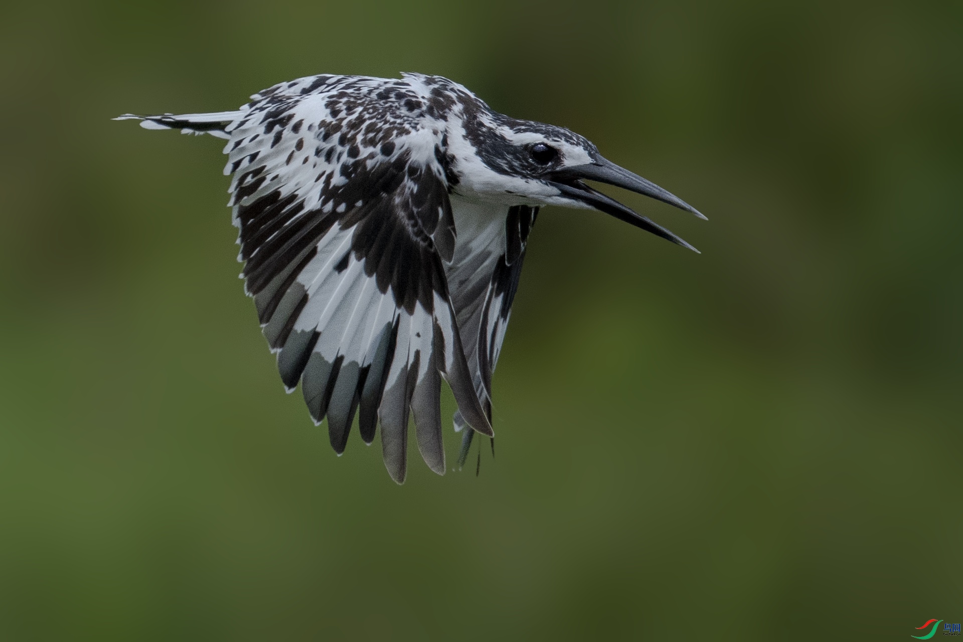 DSC_7455-����JPG.jpg