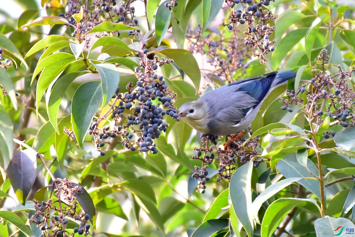 DSC_0261.JPG
