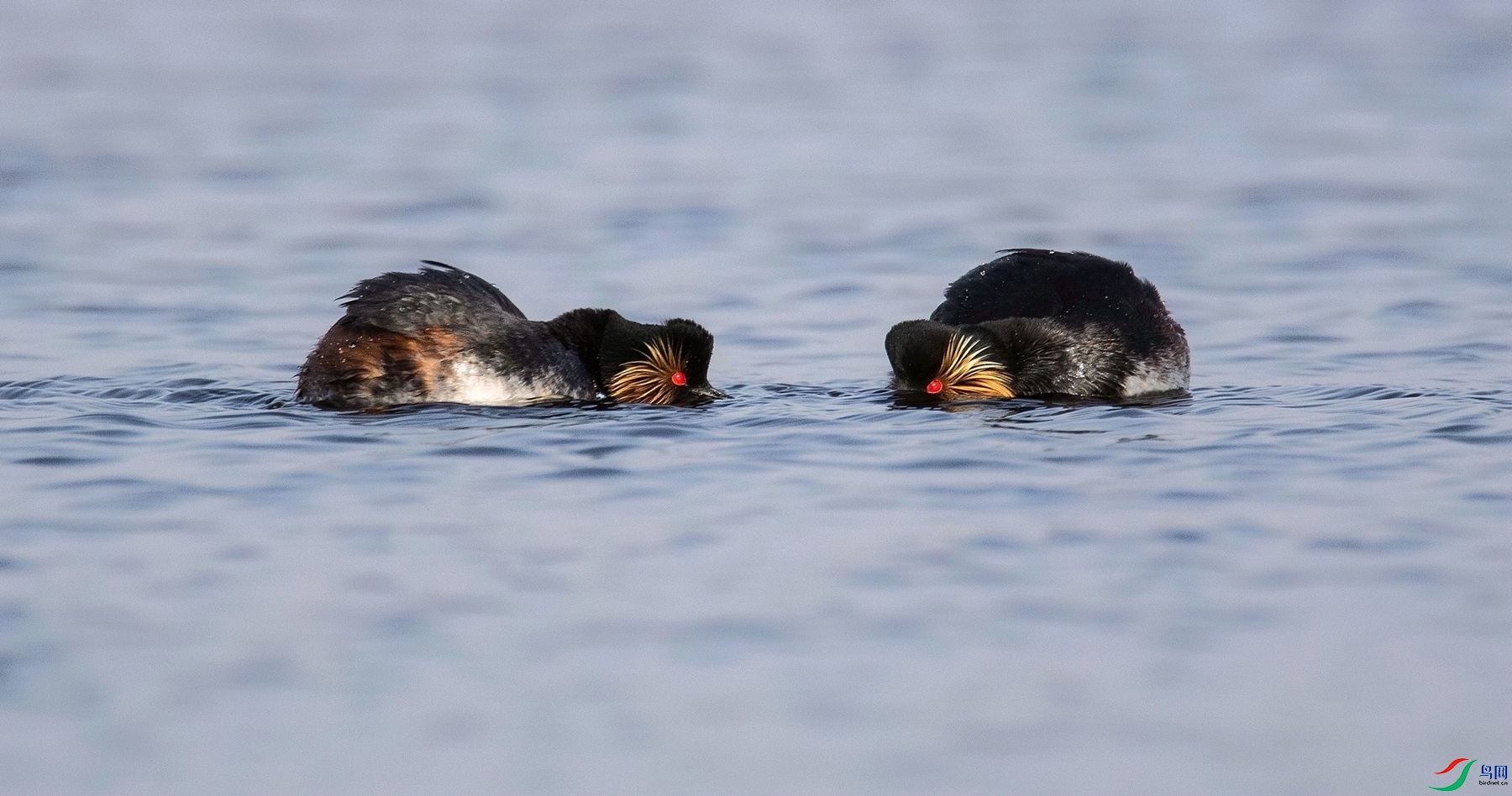 ������ (3).jpg