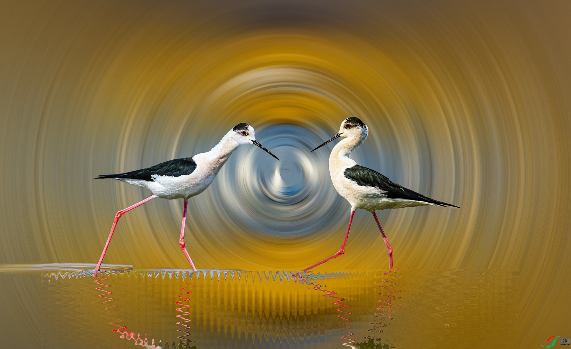 �����ǳ̲ - ����.jpg