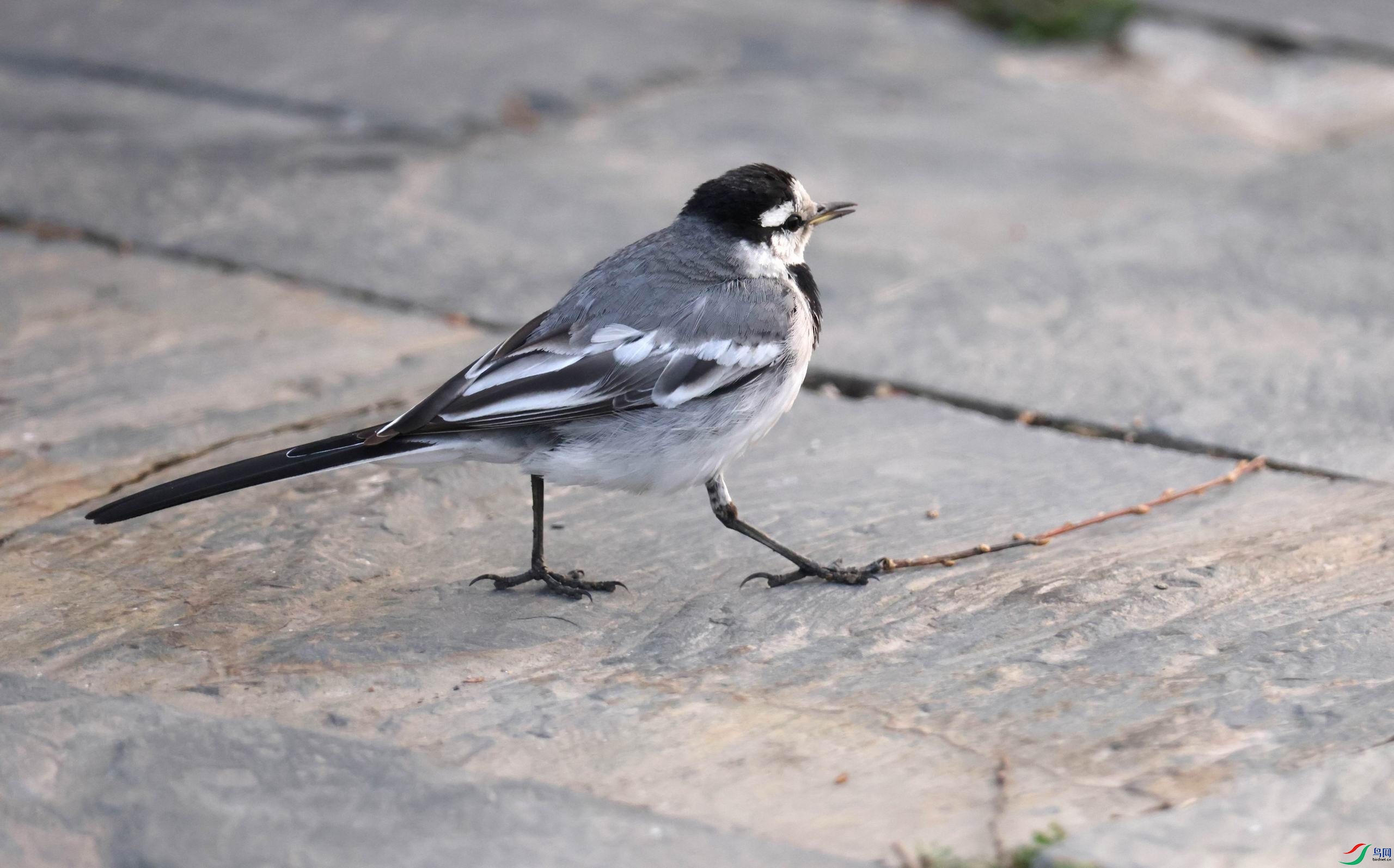 ������С �����ع� 0E5A8910.JPG