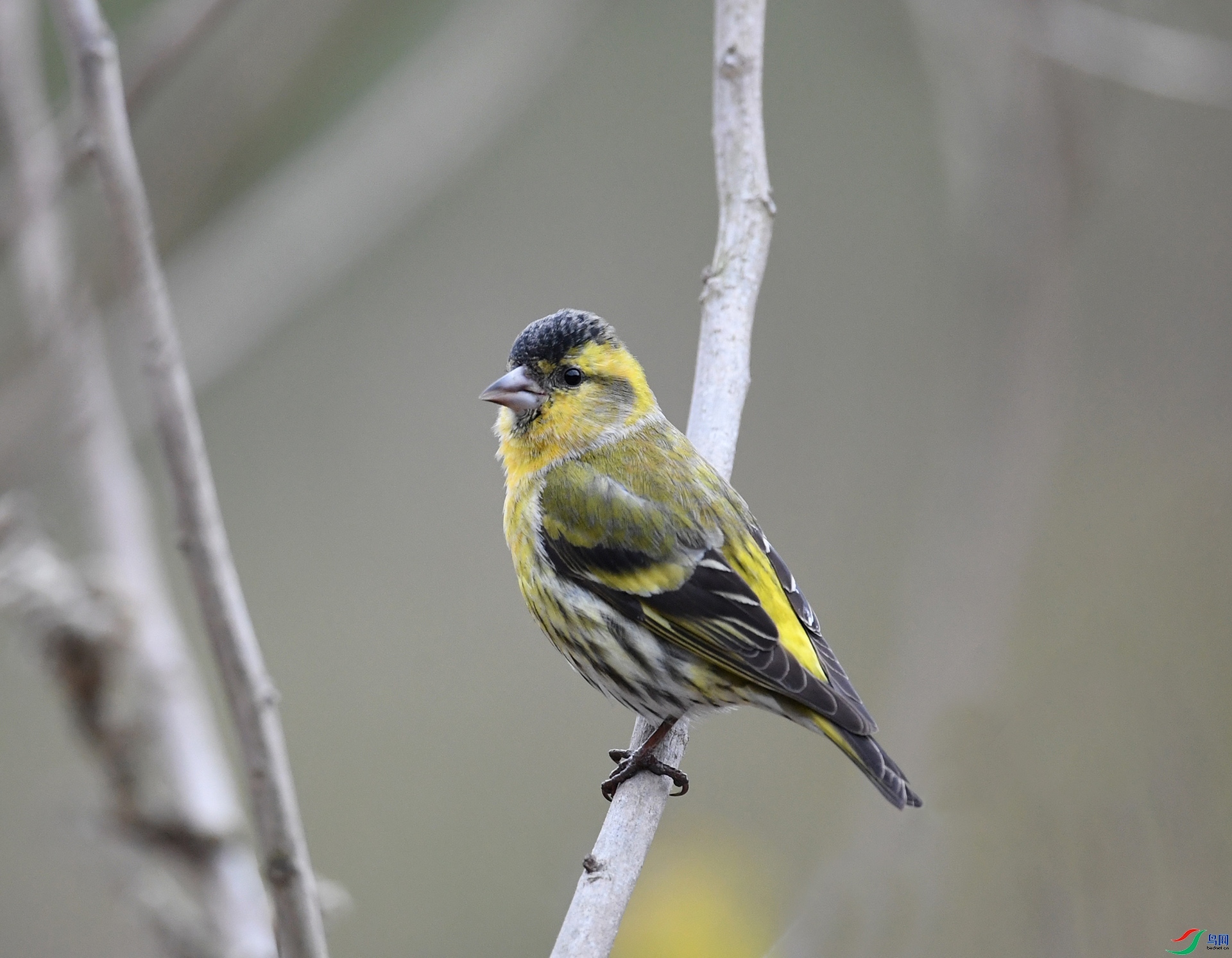 ����ϸ��  ��ʦ�����ڸ���ʡ������1.jpg