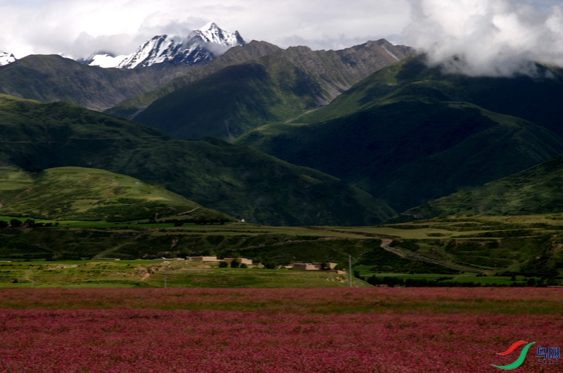 IMG_2352 - ����.JPG