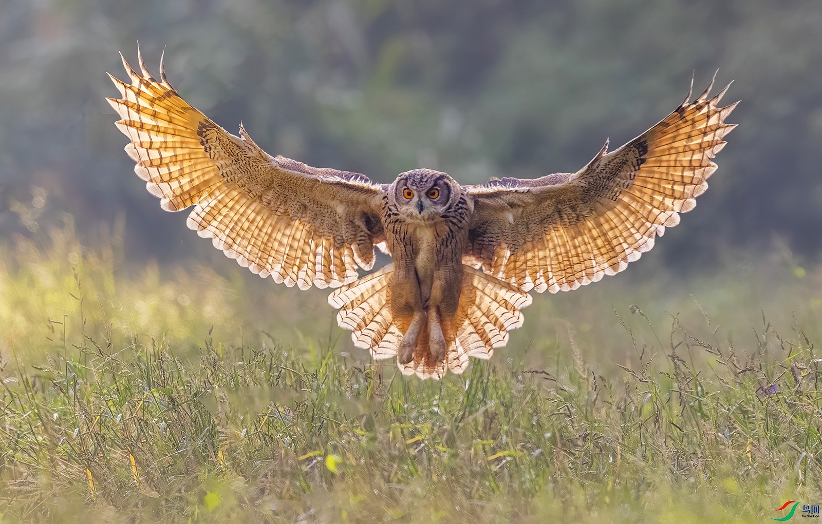 AC0I6711 ���� 2.jpg