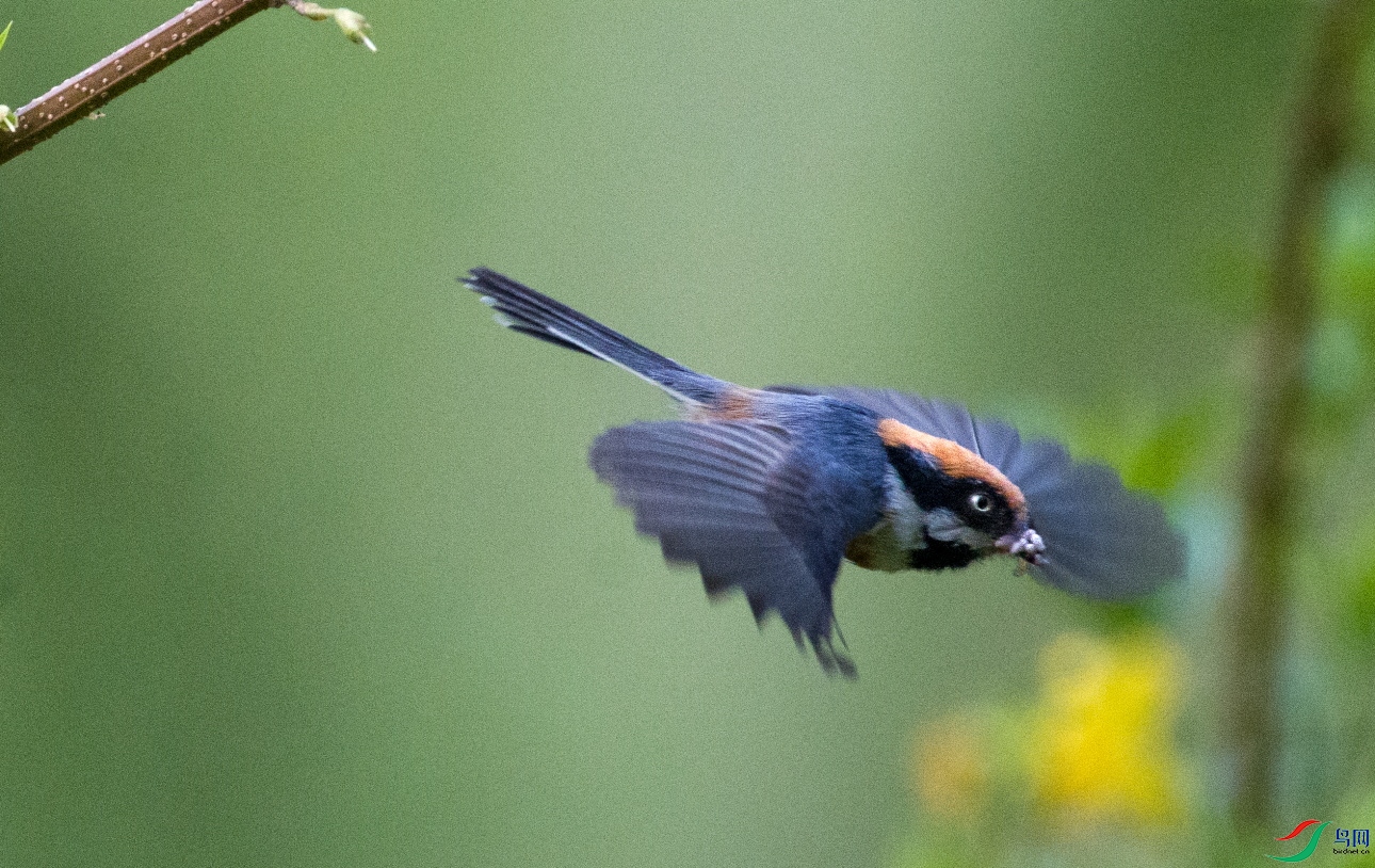DSC_5058.JPG