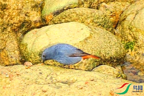 DSC01013.JPG