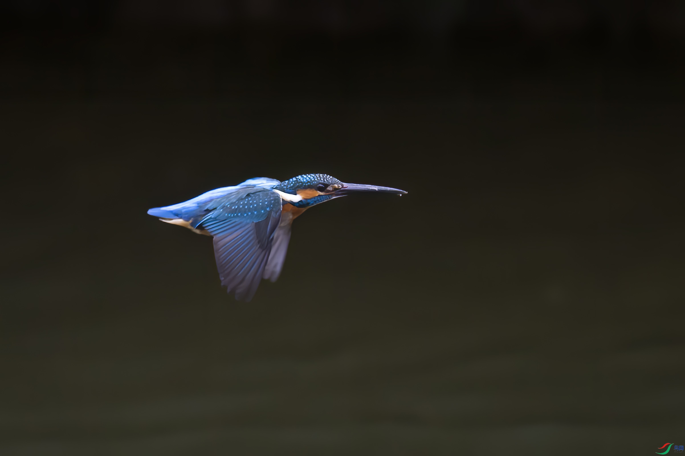 B09J9847.jpg