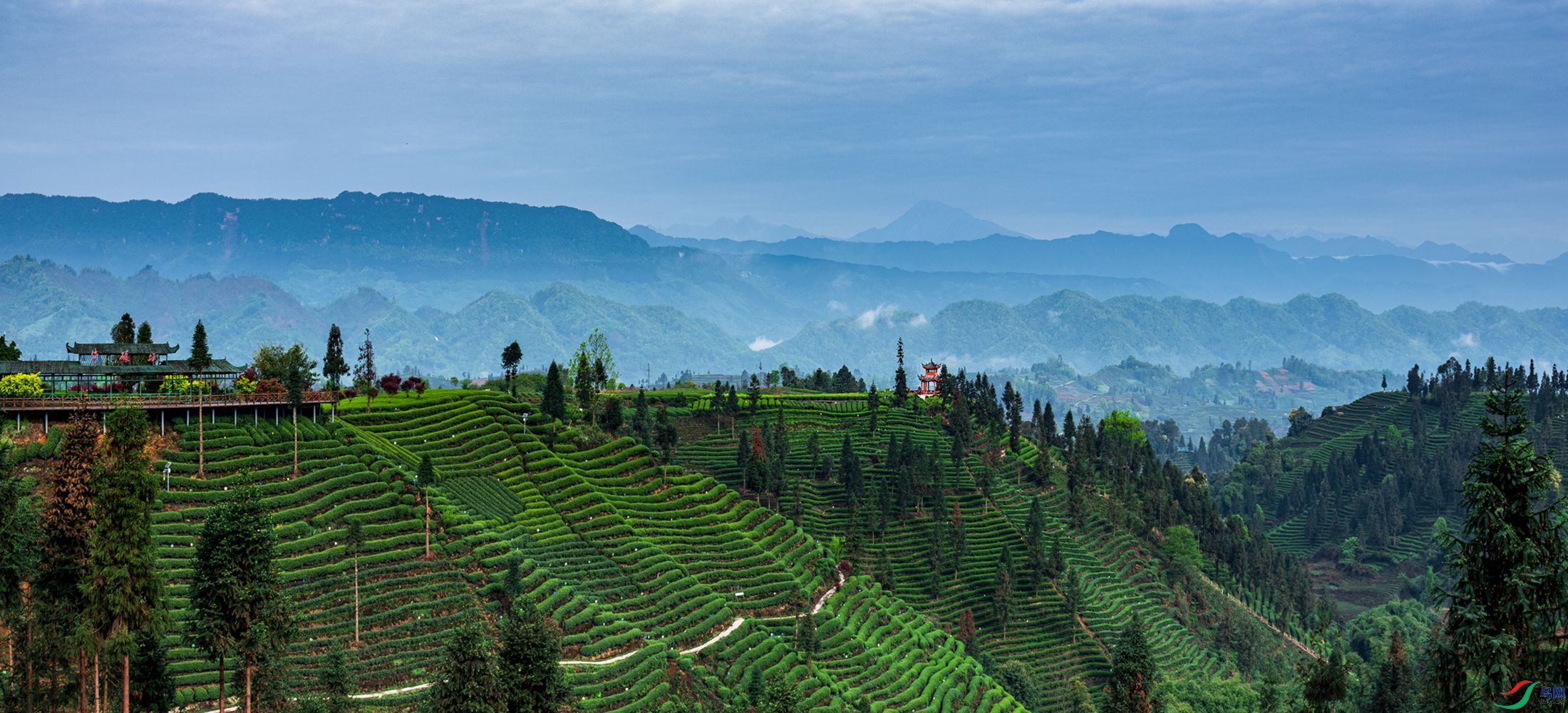 ţ��ƺ��Ķ��԰