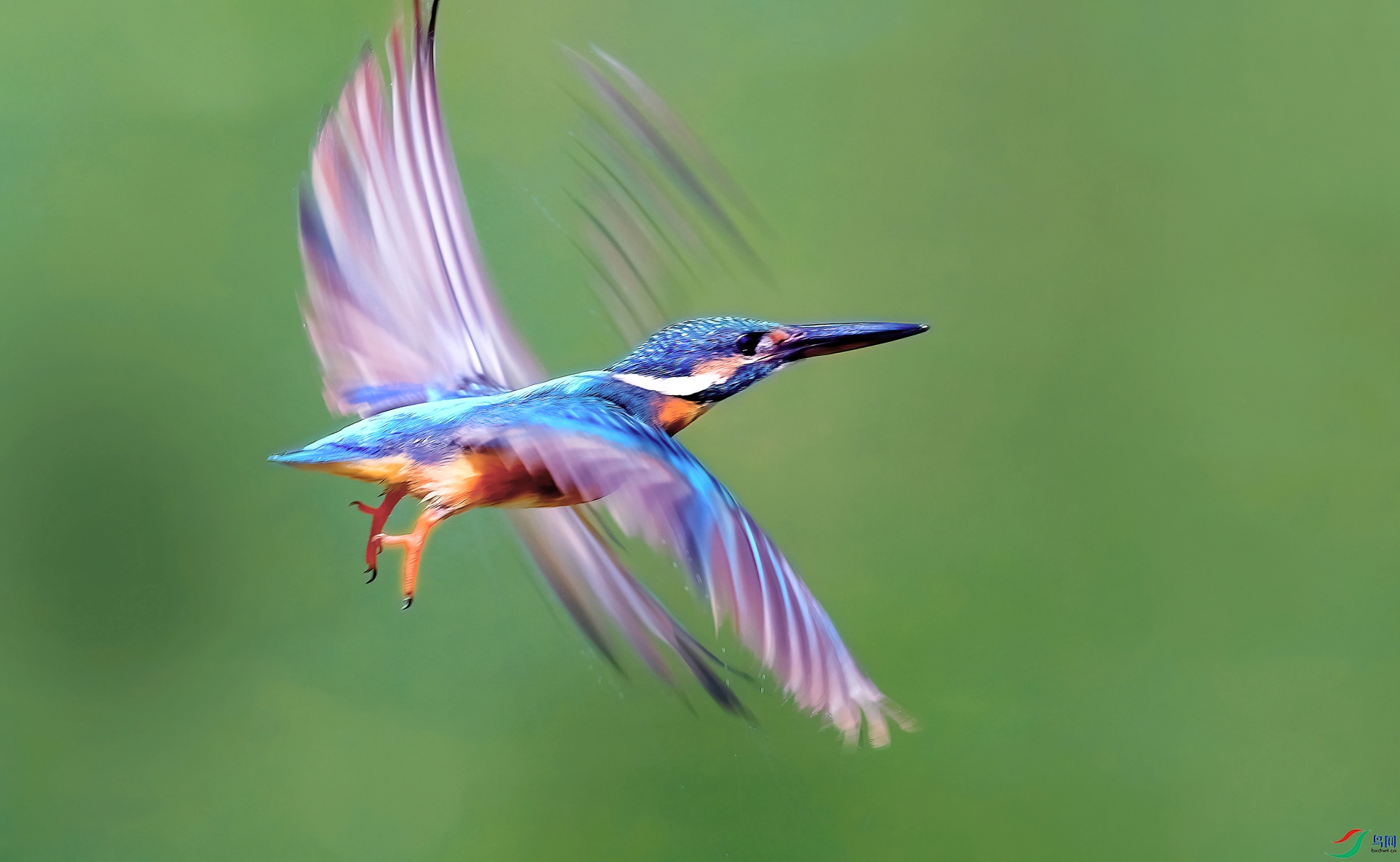 DSC_2854==1w.jpg