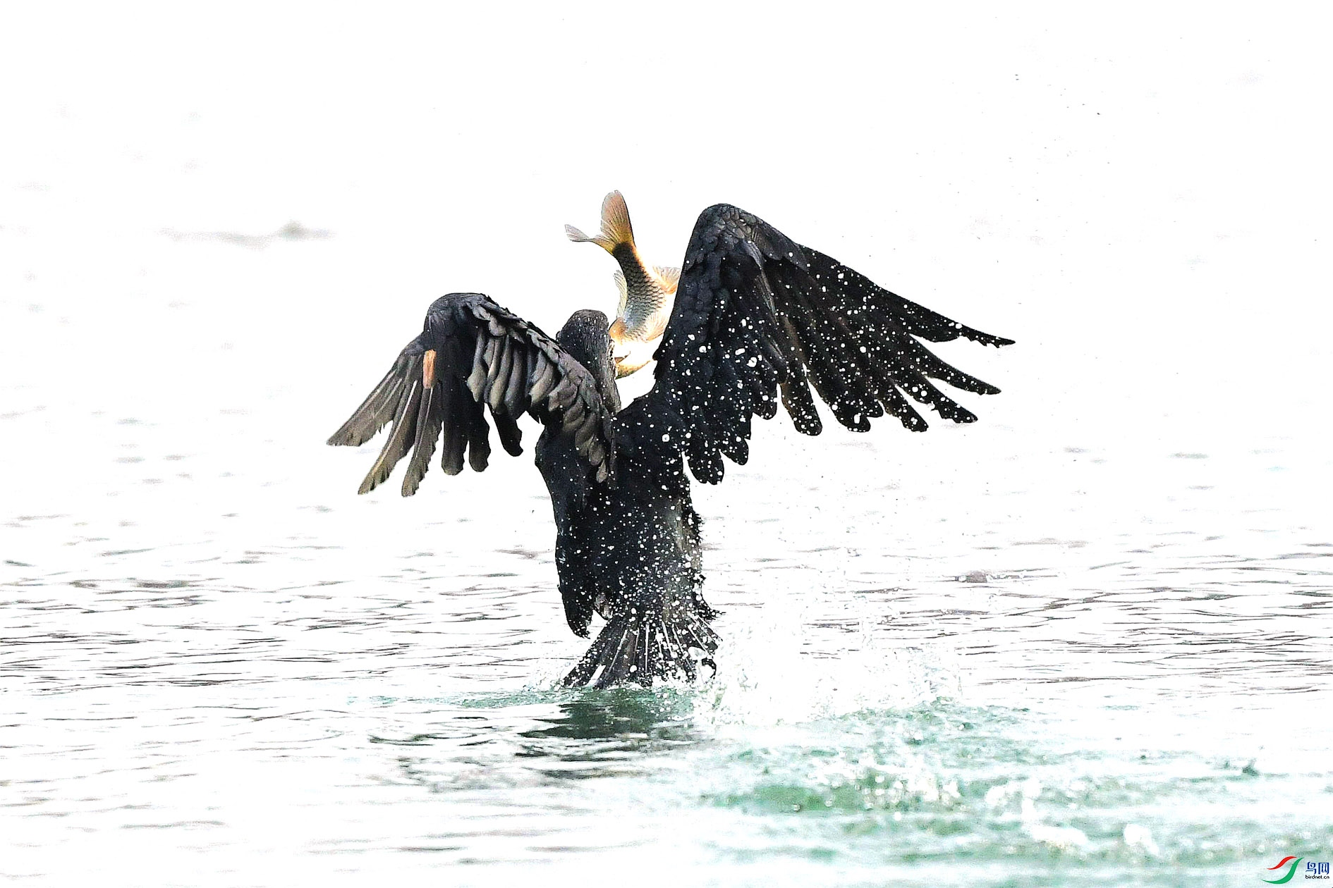 DSC_5201_����.jpg