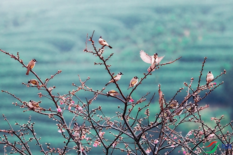 _X7A9570-1 ����.jpg