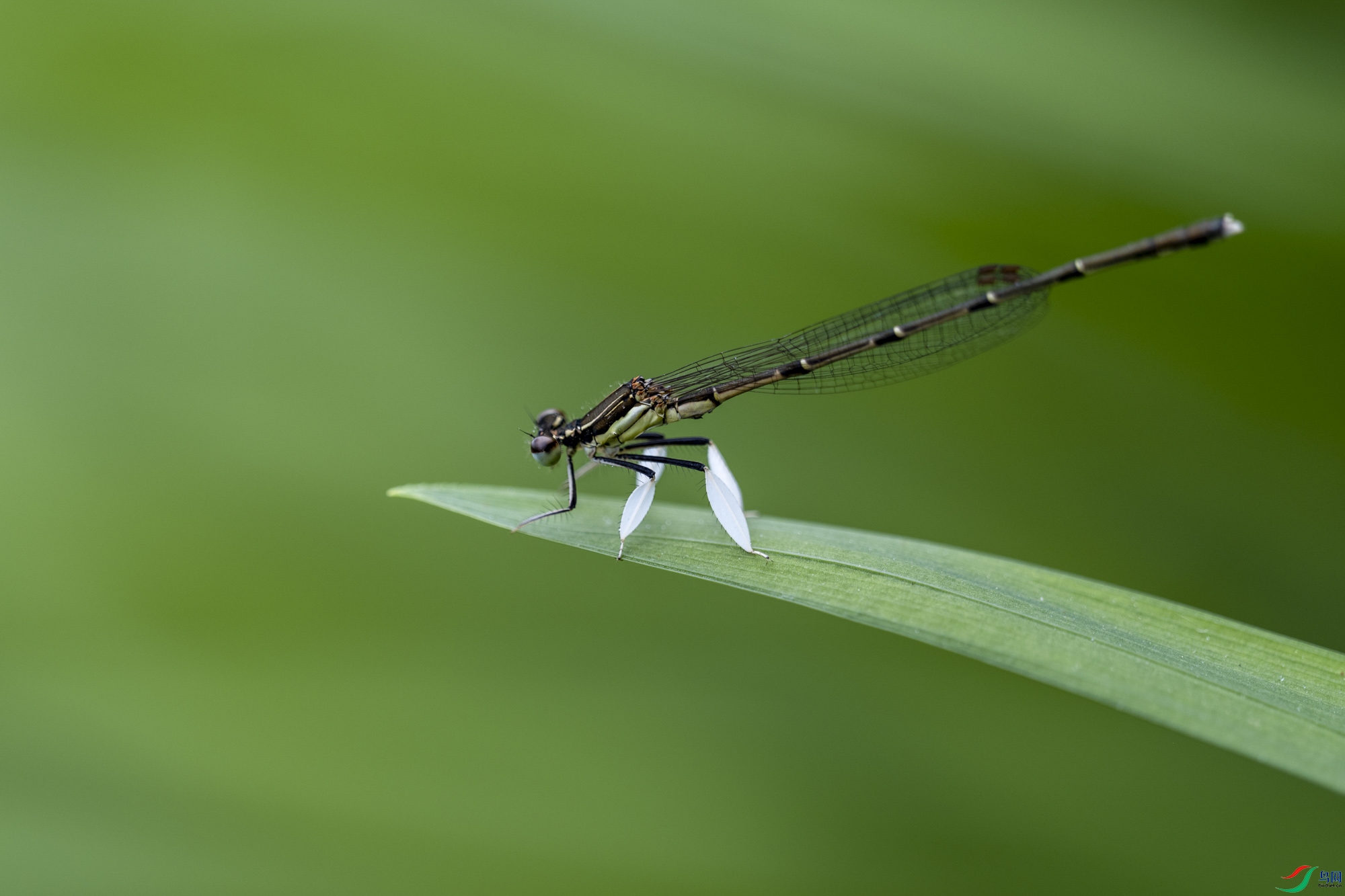 DSCF5569.JPG