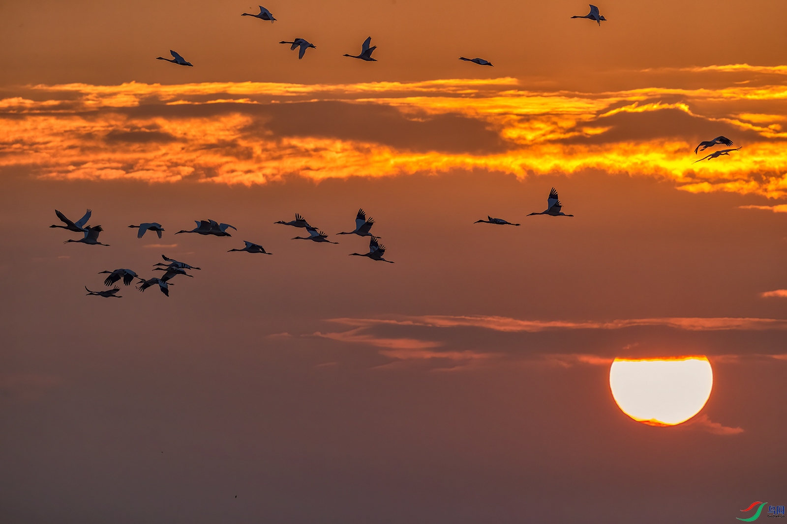 AI8I5619 ����.jpg