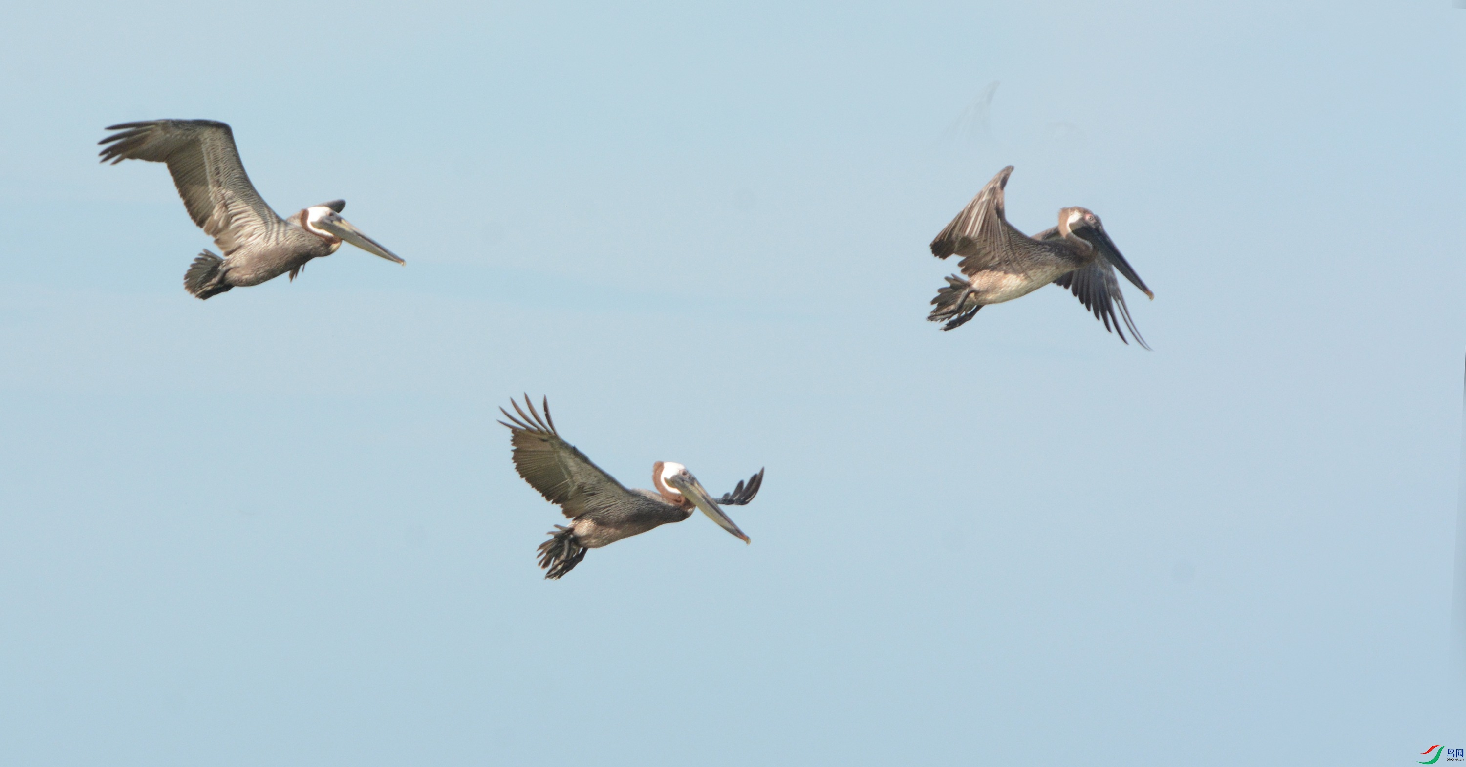 DSC_7635 - ����_����.jpg