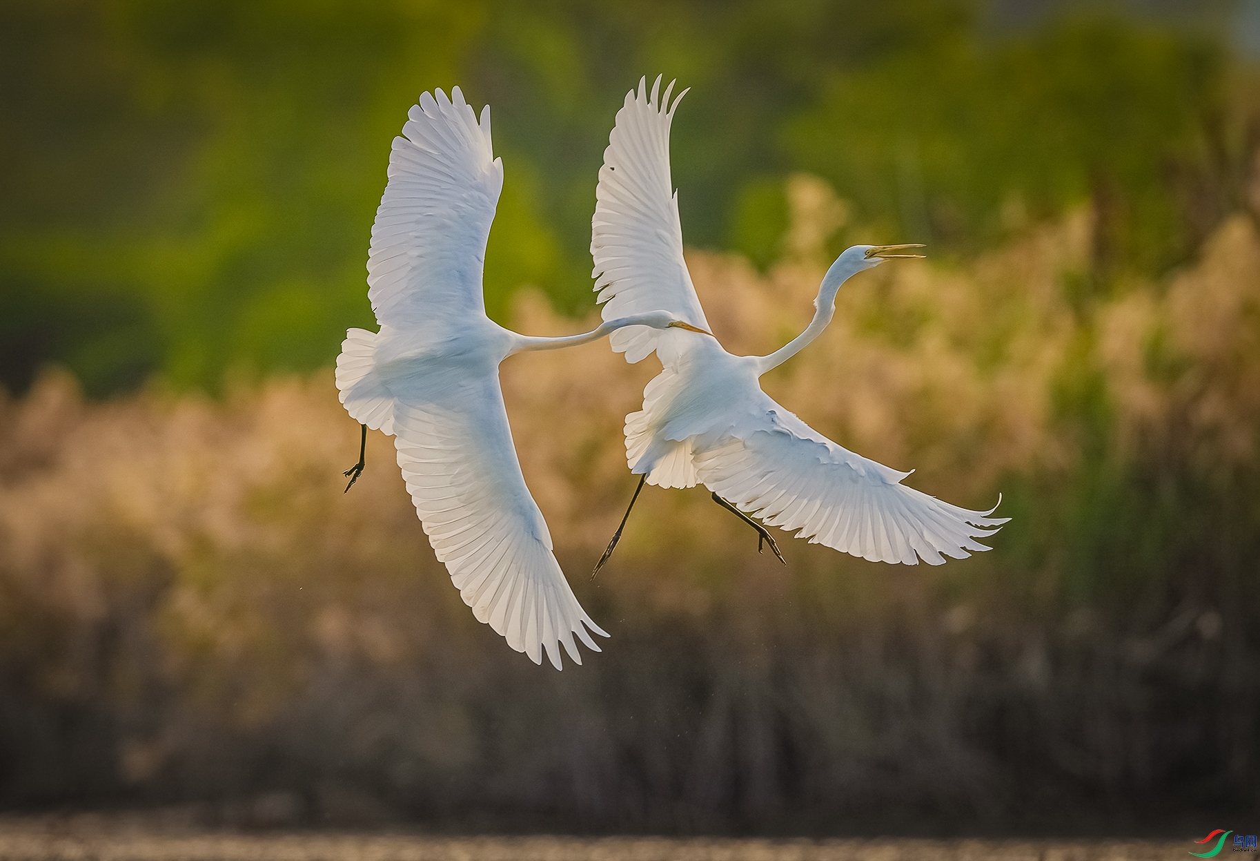 A75A2259-3 ����-3.jpg